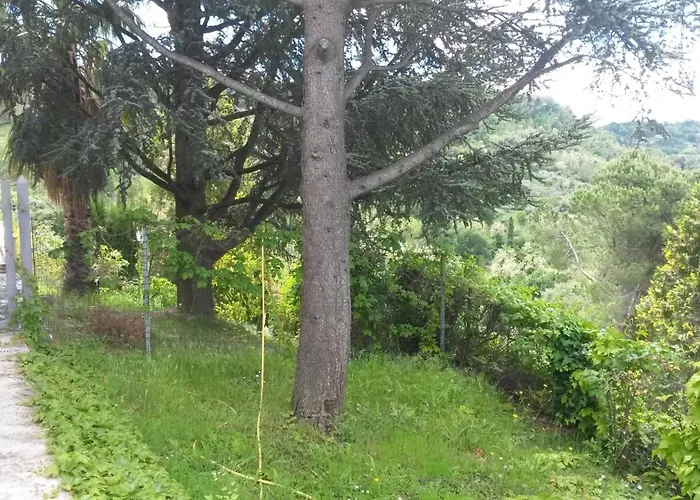 Oda ve Kahvaltı Aurum 3*