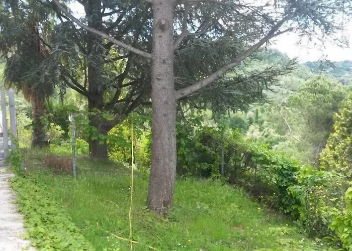 Aurum Oda ve Kahvaltı